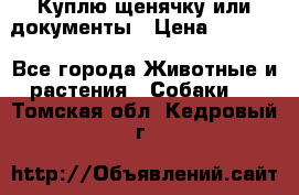 Куплю щенячку или документы › Цена ­ 3 000 - Все города Животные и растения » Собаки   . Томская обл.,Кедровый г.